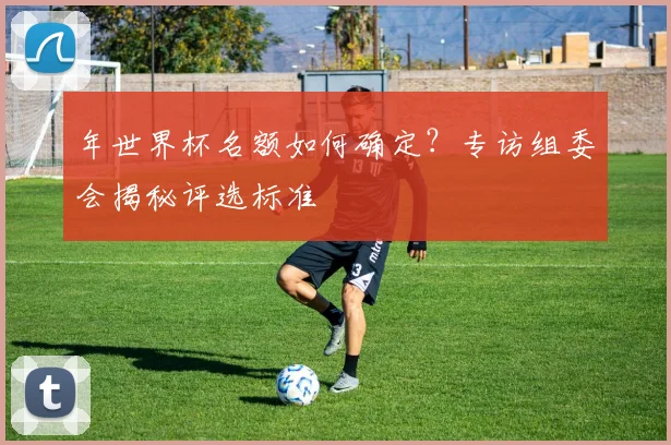 年世界杯名额如何确定？专访组委会揭秘评选标准
