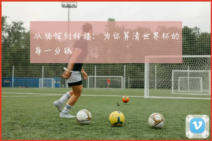 从场馆到转播：为你算清世界杯的每一分钱