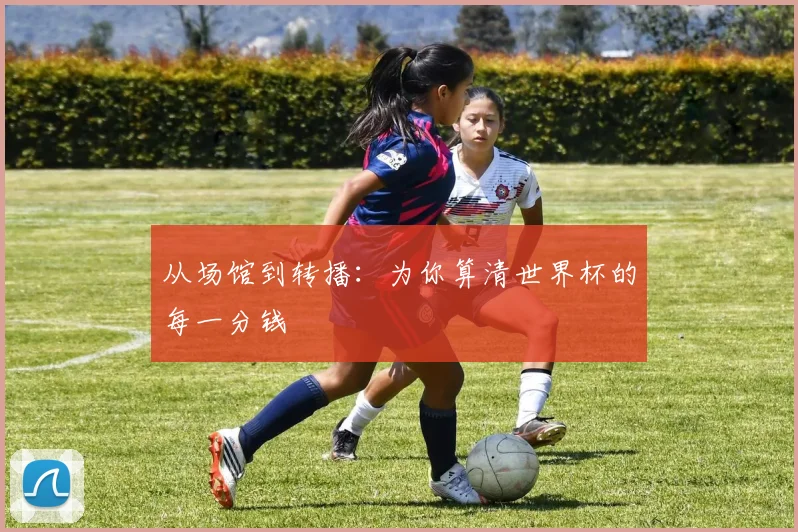 从场馆到转播：为你算清世界杯的每一分钱