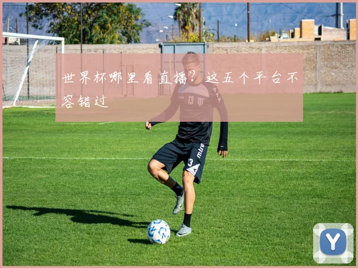 世界杯哪里看直播？这五个平台不容错过