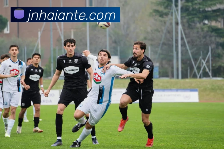 多媒体互动体验